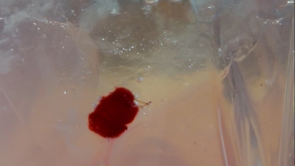 Angels Are Near Youtube Video teaser showing a close-up of a soda glass